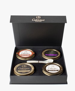 Calvisius Excellence Gift Box 4x1.0 oz.