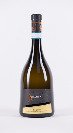 Hamsa Lugana 2011