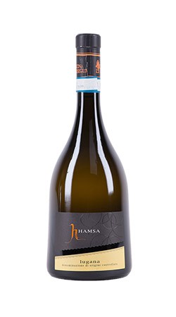 Hamsa Lugana 2011