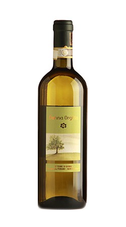 Fiorano Pecorino DOCG “ Donna Orgilla” 2015