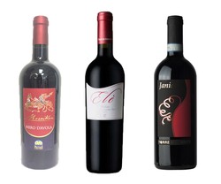 South of Italy Red Wines